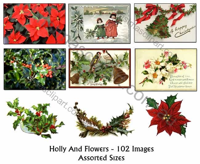 holly clipart,vintage holly images,old fashioned christmas holly