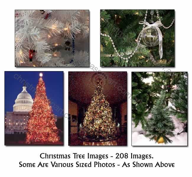 christmas tree clipart,christmas tree photos